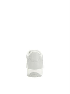 SNEAKERS ELISABETTA FRANCHI GRIGIO in DONNA