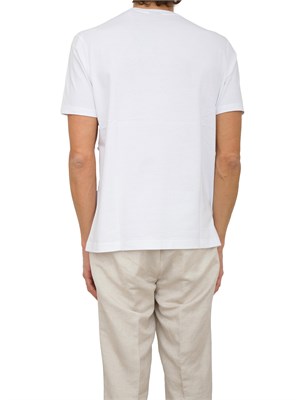 T-SHIRT PAUL[AND]SHARK BIANCO in UOMO