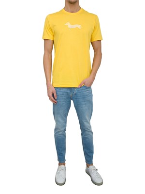T-SHIRT HARMONT [AND] BLAINE GIALLO in UOMO