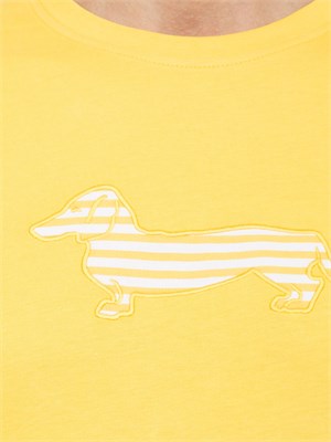 T-SHIRT HARMONT [AND] BLAINE GIALLO in UOMO