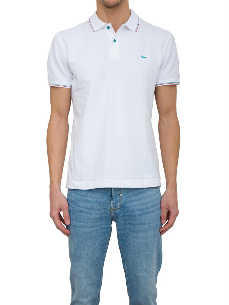 POLO HARMONT [AND] BLAINE BIANCO