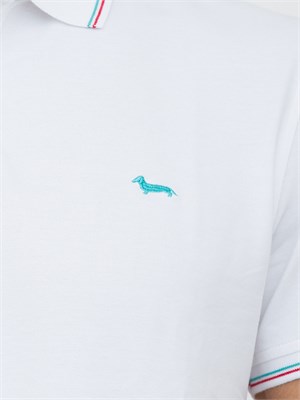 POLO HARMONT [AND] BLAINE BIANCO in UOMO