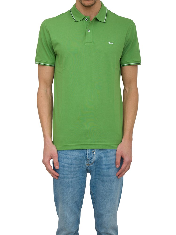 POLO HARMONT [AND] BLAINE VERDE