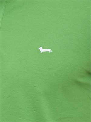 POLO HARMONT [AND] BLAINE VERDE in UOMO
