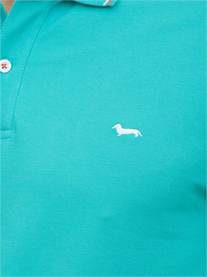 POLO HARMONT [AND] BLAINE ACQUAMARINA in UOMO