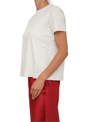 T-shirt SMMBELLA Max Mara 'S in cotone beige in DONNA