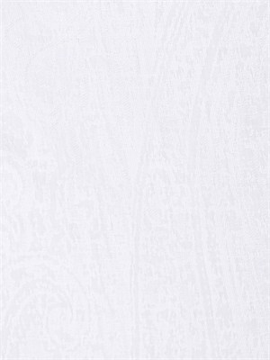 Camicia Etro uomo in cotone jacquard bianco in UOMO