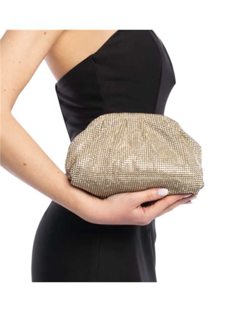 Pochette Petra Twenty Fourhaitch argento