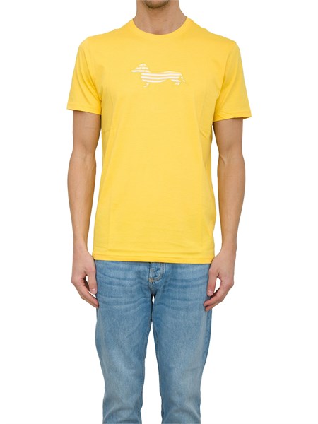 t shirt uomo harmont and blaine giallo irn003021055r